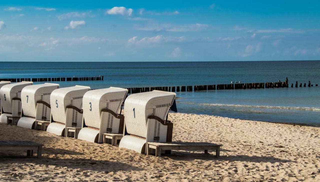 PREMIUM-LODGE im DER SÜDSCHWEDE ... Dein Gästehaus mitten in Zingst Exterior foto