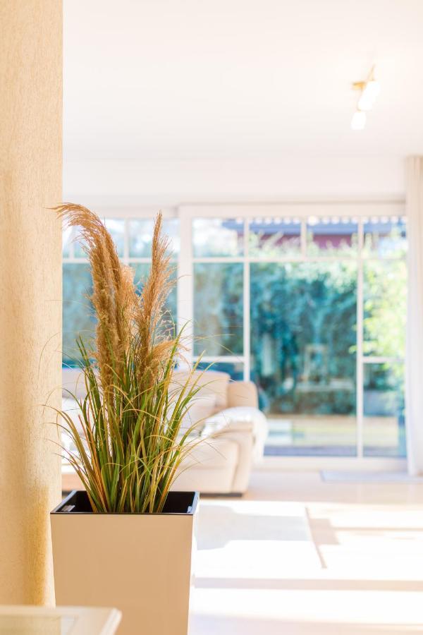 PREMIUM-LODGE im DER SÜDSCHWEDE ... Dein Gästehaus mitten in Zingst Exterior foto